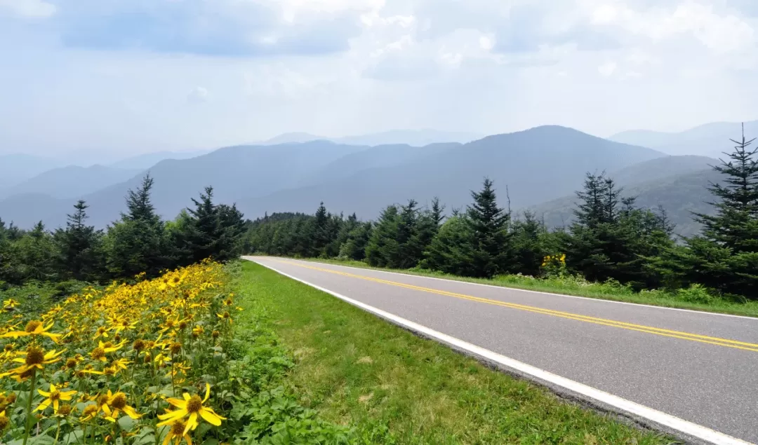 Blue Ridge Parkway May26 AA blog featured image