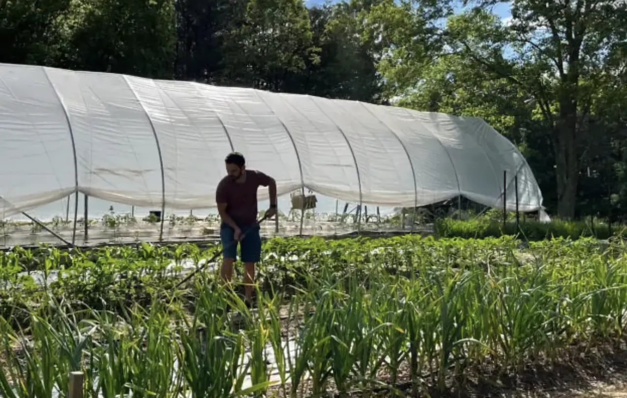Edible Abundance Landscapes