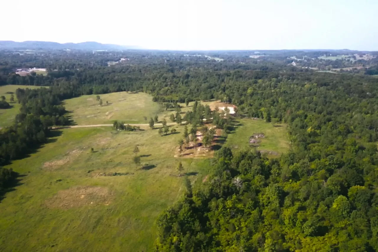 Emerging native prairie plants